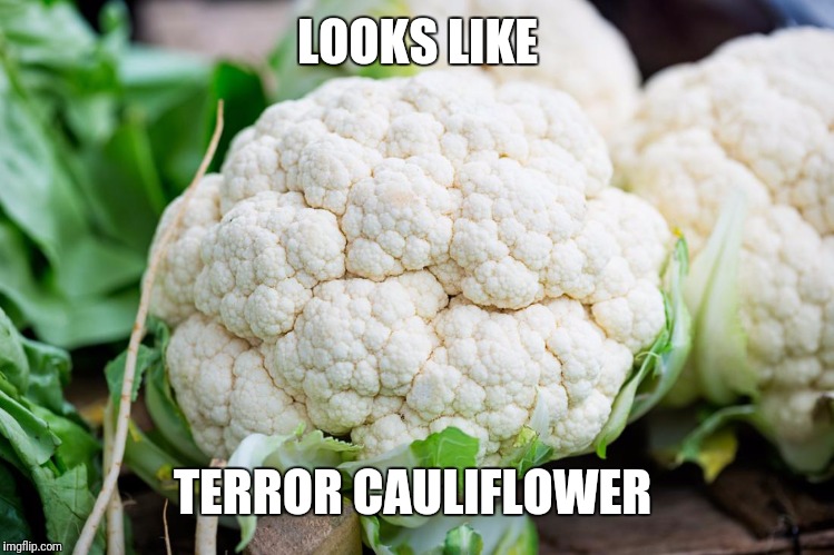 cauliflower | LOOKS LIKE TERROR CAULIFLOWER | image tagged in cauliflower | made w/ Imgflip meme maker