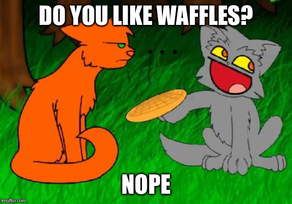 Firestar doesn't like waffles | DO YOU LIKE WAFFLES? NOPE | image tagged in firestar doesn't like waffles | made w/ Imgflip meme maker