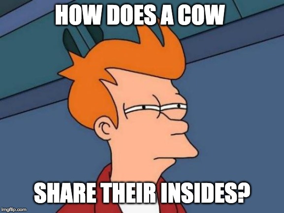 Futurama Fry Meme | HOW DOES A COW SHARE THEIR INSIDES? | image tagged in memes,futurama fry | made w/ Imgflip meme maker