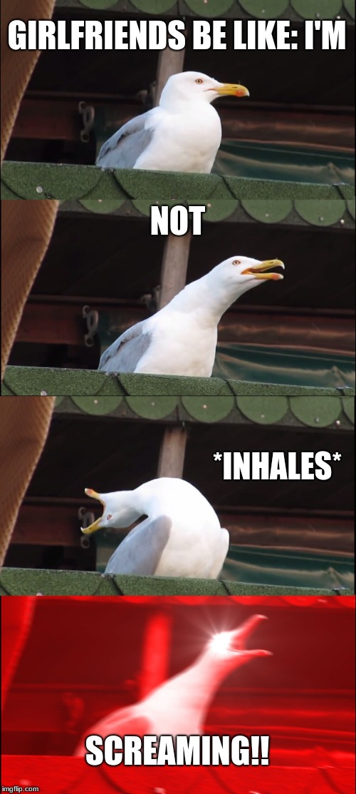 Inhaling Seagull Meme | GIRLFRIENDS BE LIKE:
I'M; NOT; *INHALES*; SCREAMING!! | image tagged in memes,inhaling seagull | made w/ Imgflip meme maker