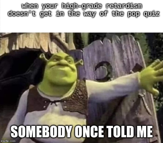 Shrek opens the door | when your high-grade retardism doesn't get in the way of the pop quiz; SOMEBODY ONCE TOLD ME | image tagged in shrek opens the door | made w/ Imgflip meme maker
