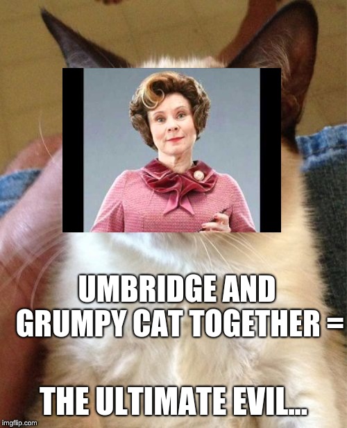 Grumbridge Cat | UMBRIDGE AND GRUMPY CAT TOGETHER =; THE ULTIMATE EVIL... | image tagged in memes | made w/ Imgflip meme maker