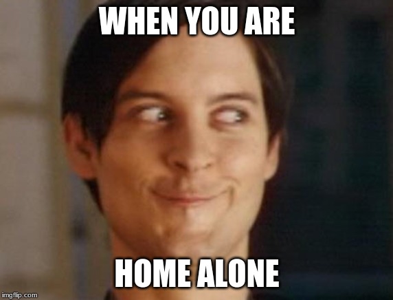 Spiderman Peter Parker | WHEN YOU ARE; HOME ALONE | image tagged in memes,spiderman peter parker | made w/ Imgflip meme maker