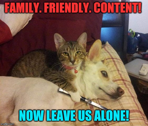Cat knife Dog | FAMILY. FRIENDLY. CONTENT! NOW LEAVE US ALONE! | image tagged in cat knife dog | made w/ Imgflip meme maker