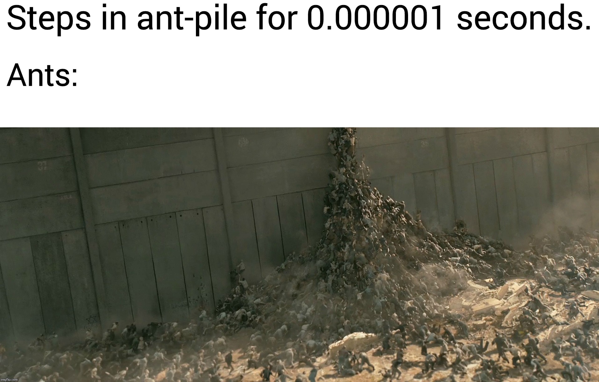 Ants | Steps in ant-pile for 0.000001 seconds. Ants: | image tagged in dank memes | made w/ Imgflip meme maker