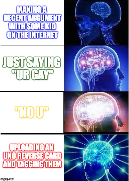 Expanding Brain Meme | MAKING A DECENT ARGUMENT WITH SOME KID ON THE INTERNET; JUST SAYING "UR GAY"; "NO U"; UPLOADING AN UNO REVERSE CARD AND TAGGING THEM | image tagged in memes,expanding brain | made w/ Imgflip meme maker