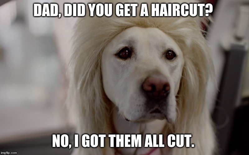 Dad jokes | DAD, DID YOU GET A HAIRCUT? NO, I GOT THEM ALL CUT. | image tagged in dad joke | made w/ Imgflip meme maker
