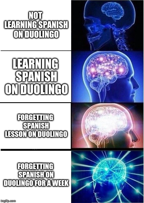 Expanding Brain Meme | NOT LEARNING SPANISH ON DUOLINGO; LEARNING SPANISH ON DUOLINGO; FORGETTING SPANISH LESSON ON DUOLINGO; FORGETTING SPANISH ON DUOLINGO FOR A WEEK | image tagged in memes,expanding brain | made w/ Imgflip meme maker