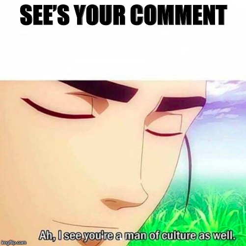 Ah,I see you are a man of culture as well | SEE’S YOUR COMMENT | image tagged in ah i see you are a man of culture as well | made w/ Imgflip meme maker