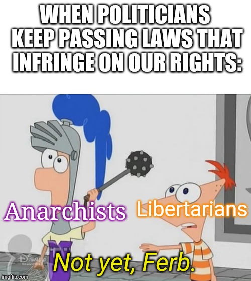 Not Yet Ferb | WHEN POLITICIANS KEEP PASSING LAWS THAT INFRINGE ON OUR RIGHTS:; Anarchists; Libertarians; Not yet, Ferb. | image tagged in not yet ferb | made w/ Imgflip meme maker