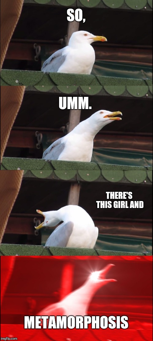 Inhaling Seagull Meme | SO, UMM. THERE'S THIS GIRL AND; METAMORPHOSIS | image tagged in memes,inhaling seagull | made w/ Imgflip meme maker