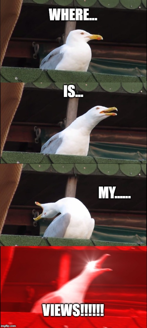 Inhaling Seagull | WHERE... IS... MY...... VIEWS!!!!!! | image tagged in memes,inhaling seagull | made w/ Imgflip meme maker