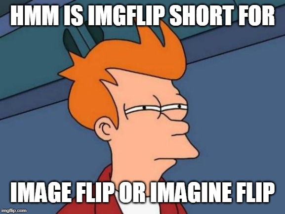 Contemplating Reality | HMM IS IMGFLIP SHORT FOR; IMAGE FLIP OR IMAGINE FLIP | image tagged in memes,futurama fry,imgflip | made w/ Imgflip meme maker