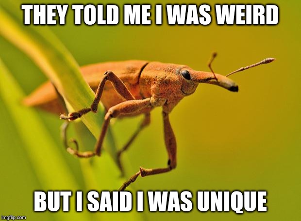Happy Insect | THEY TOLD ME I WAS WEIRD; BUT I SAID I WAS UNIQUE | image tagged in happy insect | made w/ Imgflip meme maker