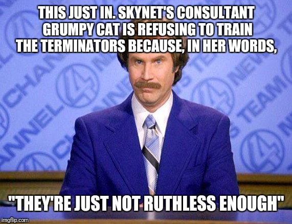 anchorman news update | THIS JUST IN. SKYNET'S CONSULTANT GRUMPY CAT IS REFUSING TO TRAIN THE TERMINATORS BECAUSE, IN HER WORDS, "THEY'RE JUST NOT RUTHLESS ENOUGH" | image tagged in anchorman news update | made w/ Imgflip meme maker