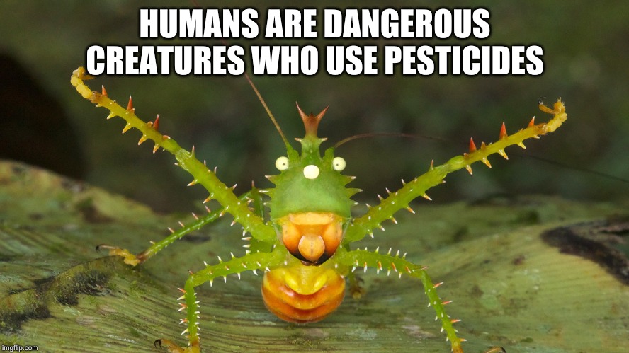 dangerous creatures | HUMANS ARE DANGEROUS CREATURES WHO USE PESTICIDES | image tagged in pesticides,humans,insects | made w/ Imgflip meme maker