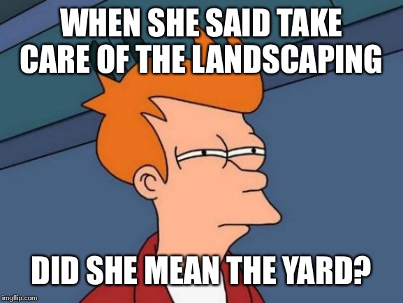 Futurama Fry Meme | WHEN SHE SAID TAKE CARE OF THE LANDSCAPING DID SHE MEAN THE YARD? | image tagged in memes,futurama fry | made w/ Imgflip meme maker