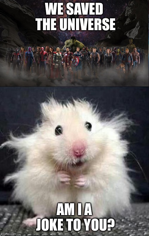 WE SAVED THE UNIVERSE; AM I A JOKE TO YOU? | image tagged in stressed mouse,marvel | made w/ Imgflip meme maker