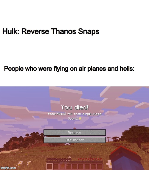 RIP that heli pilot at the end of infinity war | Hulk: Reverse Thanos Snaps; People who were flying on air planes and helis: | image tagged in minecraft,marvel,avengers endgame,infinity war,rip,fun | made w/ Imgflip meme maker