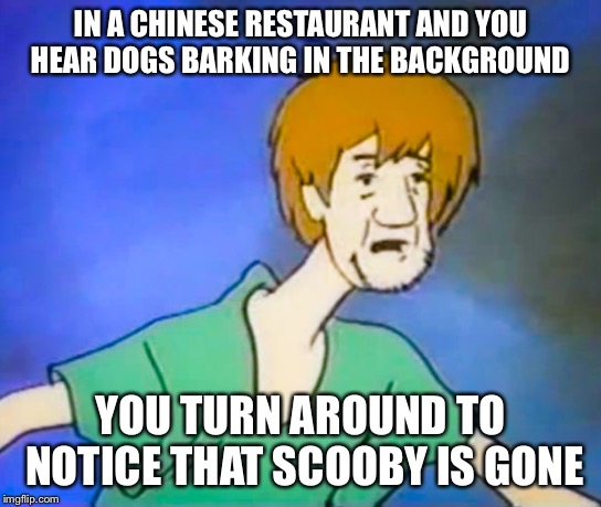 Confused shaggy  | IN A CHINESE RESTAURANT AND YOU HEAR DOGS BARKING IN THE BACKGROUND; YOU TURN AROUND TO NOTICE THAT SCOOBY IS GONE | image tagged in confused shaggy | made w/ Imgflip meme maker