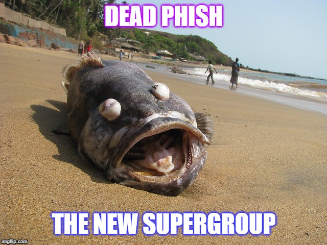 Dead Phish | DEAD PHISH; THE NEW SUPERGROUP | image tagged in funny memes,music,grateful dead,phish | made w/ Imgflip meme maker