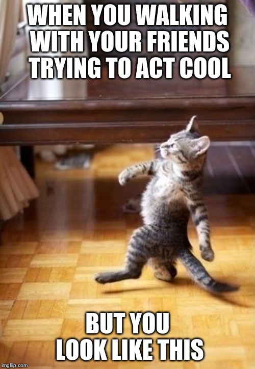 Cool Cat Stroll Meme | WHEN YOU WALKING WITH YOUR FRIENDS TRYING TO ACT COOL; BUT YOU LOOK LIKE THIS | image tagged in memes,cool cat stroll | made w/ Imgflip meme maker