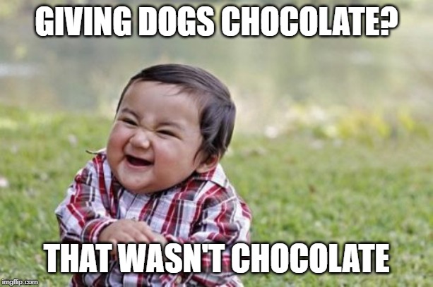 Evil Toddler | GIVING DOGS CHOCOLATE? THAT WASN'T CHOCOLATE | image tagged in memes,evil toddler | made w/ Imgflip meme maker
