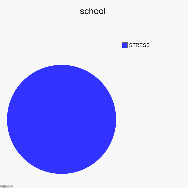 school | STRESS | image tagged in charts,pie charts | made w/ Imgflip chart maker