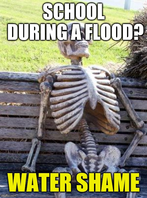 Waiting Skeleton Meme | SCHOOL DURING A FLOOD? WATER SHAME | image tagged in memes,waiting skeleton | made w/ Imgflip meme maker