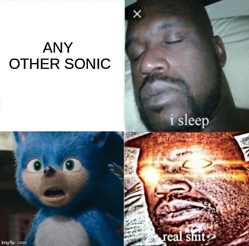 Sleeping Shaq | ANY OTHER SONIC | image tagged in memes,sleeping shaq | made w/ Imgflip meme maker