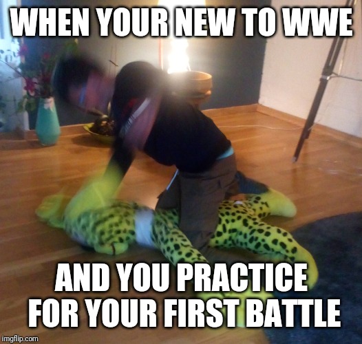 WHEN YOUR NEW TO WWE; AND YOU PRACTICE FOR YOUR FIRST BATTLE | made w/ Imgflip meme maker