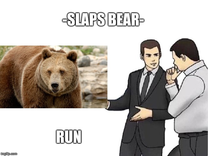 Car Salesman Slaps Hood | -SLAPS BEAR-; RUN | image tagged in memes,car salesman slaps hood | made w/ Imgflip meme maker