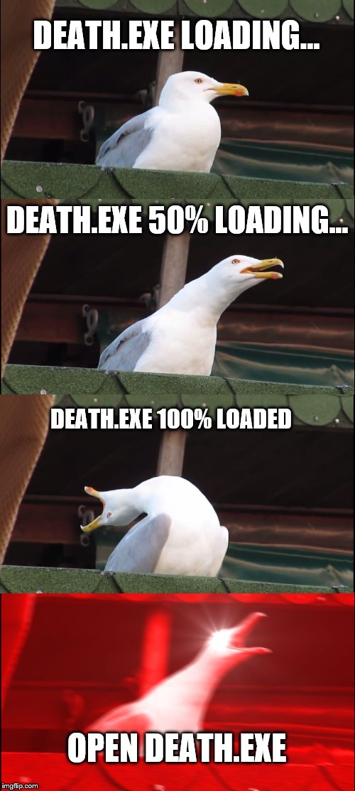 Inhaling Seagull | DEATH.EXE LOADING... DEATH.EXE 50% LOADING... DEATH.EXE 100% LOADED; OPEN DEATH.EXE | image tagged in memes,inhaling seagull | made w/ Imgflip meme maker