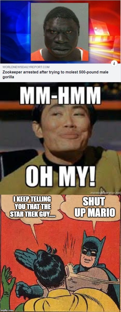 Zing!!! | I KEEP TELLING YOU THAT THE STAR TREK GUY..... SHUT UP MARIO | image tagged in memes,batman slapping robin | made w/ Imgflip meme maker