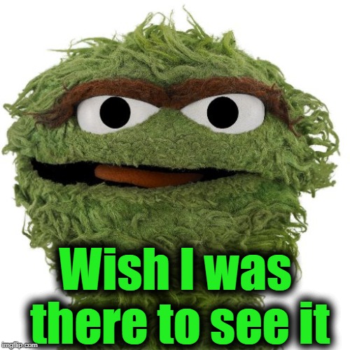 Oscar The Grouch | Wish I was there to see it | image tagged in oscar the grouch | made w/ Imgflip meme maker