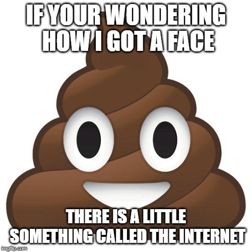 poop | IF YOUR WONDERING HOW I GOT A FACE; THERE IS A LITTLE SOMETHING CALLED THE INTERNET | image tagged in poop | made w/ Imgflip meme maker