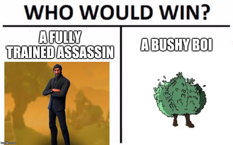 Who Would Win? | A FULLY TRAINED ASSASSIN; A BUSHY BOI | image tagged in memes,who would win | made w/ Imgflip meme maker