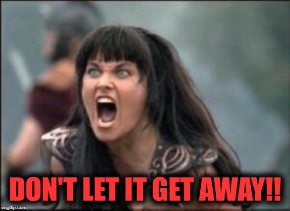 xena mad | DON'T LET IT GET AWAY!! | image tagged in xena mad | made w/ Imgflip meme maker
