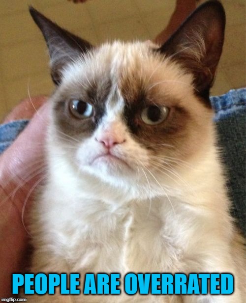 Grumpy Cat Meme | PEOPLE ARE OVERRATED | image tagged in memes,grumpy cat | made w/ Imgflip meme maker