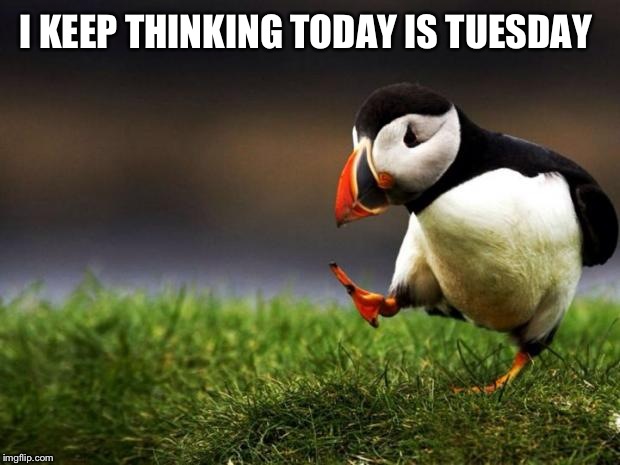 Unpopular Opinion Puffin | I KEEP THINKING TODAY IS TUESDAY | image tagged in memes,unpopular opinion puffin | made w/ Imgflip meme maker
