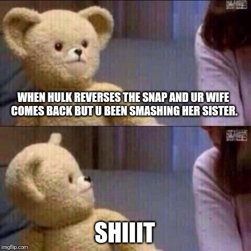 shocked bear | WHEN HULK REVERSES THE SNAP AND UR WIFE COMES BACK BUT U BEEN SMASHING HER SISTER. SHIIIT | image tagged in shocked bear | made w/ Imgflip meme maker