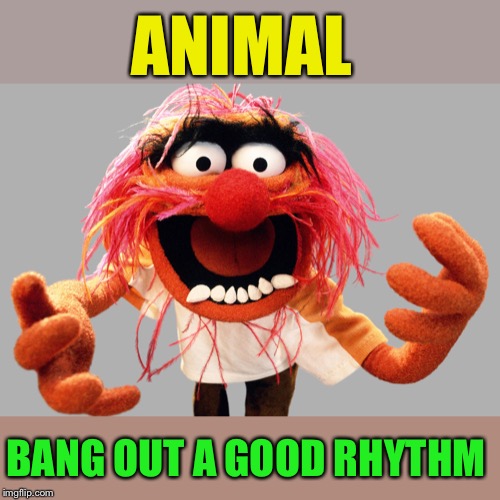animal muppets | ANIMAL BANG OUT A GOOD RHYTHM | image tagged in animal muppets | made w/ Imgflip meme maker