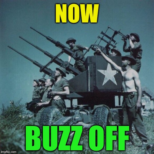Anti Aircraft  | NOW BUZZ OFF | image tagged in anti aircraft | made w/ Imgflip meme maker