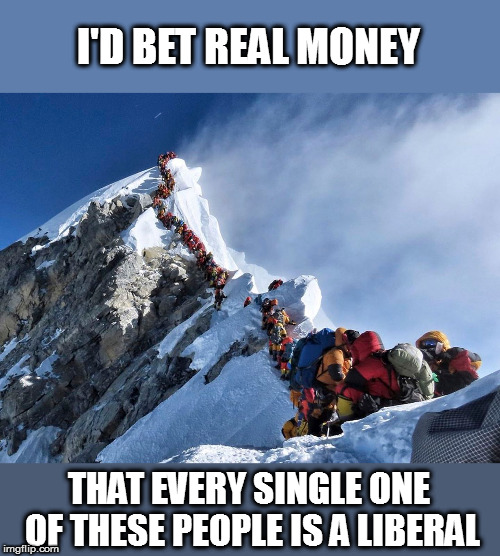 Not counting the Sherpas | I'D BET REAL MONEY; THAT EVERY SINGLE ONE OF THESE PEOPLE IS A LIBERAL | image tagged in memes,politics,mount everest,traffic jam,liberals | made w/ Imgflip meme maker