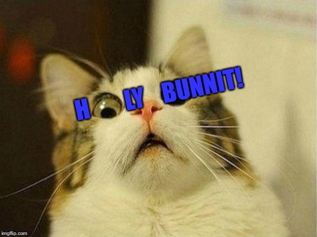 Scared Cat Meme | H        LY BUNNIT! | image tagged in memes,scared cat | made w/ Imgflip meme maker