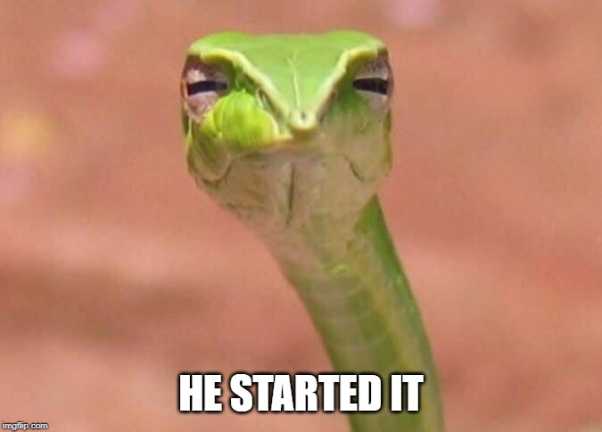Skeptical snake | HE STARTED IT | image tagged in skeptical snake | made w/ Imgflip meme maker