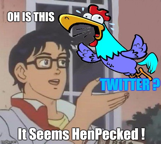 Henpecked Twitter | OH IS THIS; TWITTER ? It Seems HenPecked ! | image tagged in memes,funny,animals,anime,twitter | made w/ Imgflip meme maker