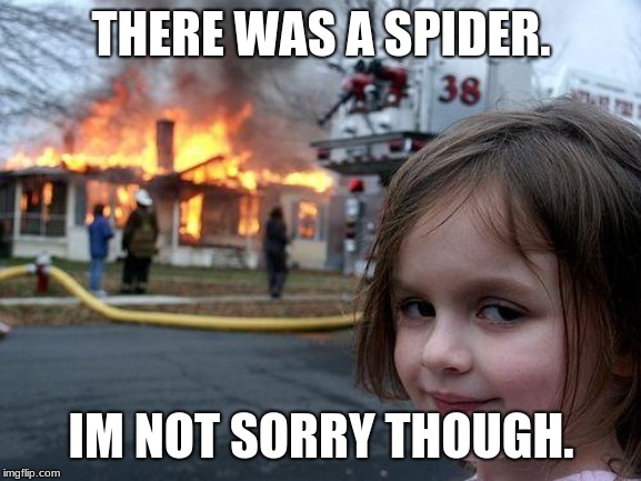 Disaster Girl | THERE WAS A SPIDER. IM NOT SORRY THOUGH. | image tagged in memes,disaster girl | made w/ Imgflip meme maker