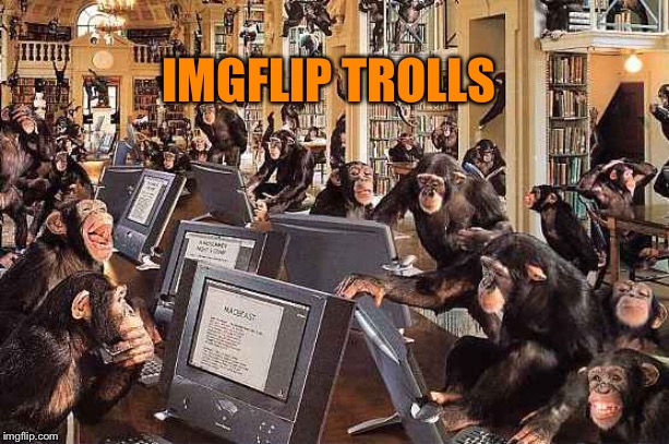 monkeys on computers | IMGFLIP TROLLS | image tagged in monkeys on computers | made w/ Imgflip meme maker
