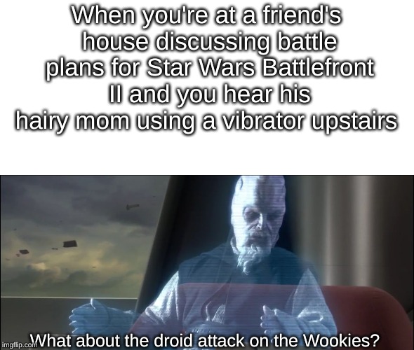 what about the droid attack on the wookies | When you're at a friend's house discussing battle plans for Star Wars Battlefront II and you hear his hairy mom using a vibrator upstairs; What about the droid attack on the Wookies? | image tagged in what about the droid attack on the wookies | made w/ Imgflip meme maker